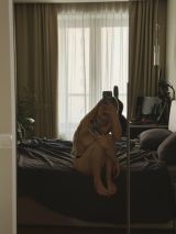 Миниатюра Индивидуалка Илона Фотография 